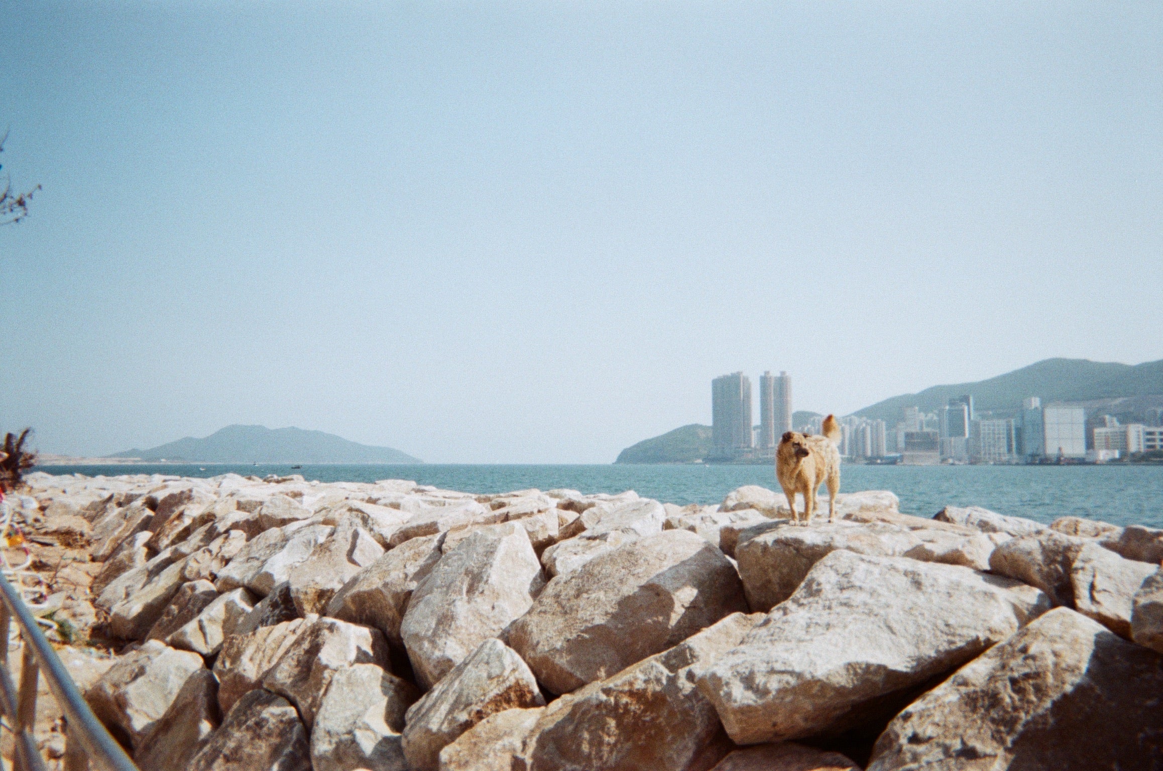 Kodak Portra 160 / 135 - 36 EXP- 1 Roll